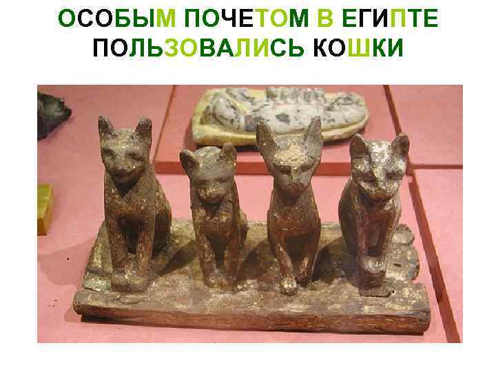 ОСОБЫМ ПОЧЕТОМ В ЕГИПТЕ ПОЛЬЗОВАЛИСЬ КОШКИ 