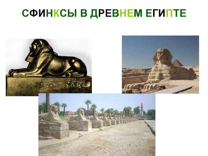 СФИНКСЫ В ДРЕВНЕМ ЕГИПТЕ 