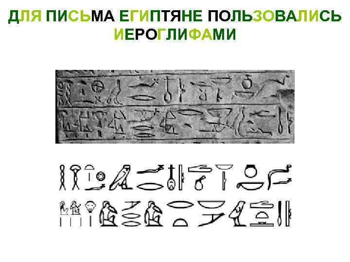 ДЛЯ ПИСЬМА ЕГИПТЯНЕ ПОЛЬЗОВАЛИСЬ ИЕРОГЛИФАМИ 
