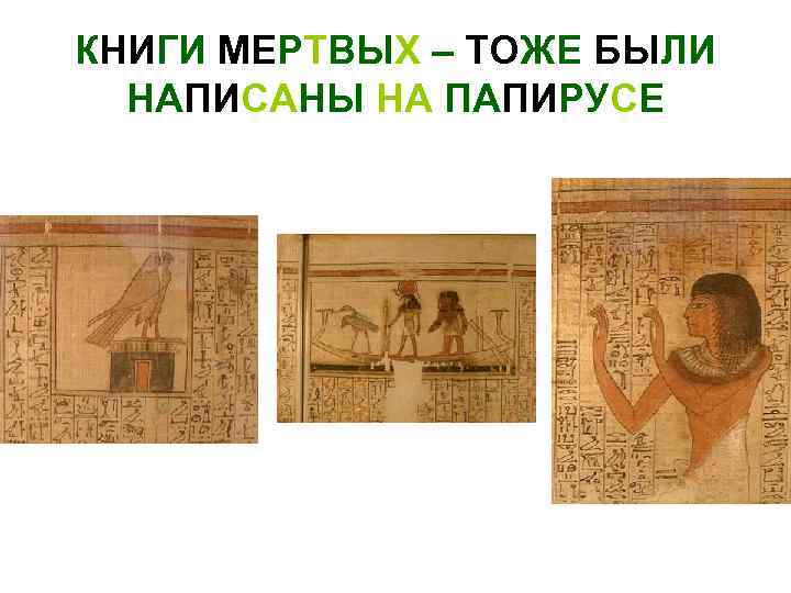 КНИГИ МЕРТВЫХ – ТОЖЕ БЫЛИ НАПИСАНЫ НА ПАПИРУСЕ 