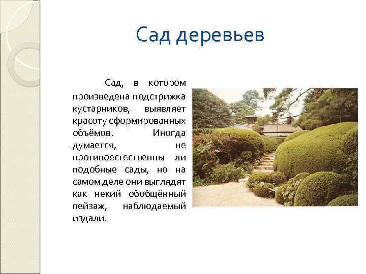  Сад деревьев Сад, в котором произведена подстрижка кустарников, выявляет красоту сформированных объёмов. Иногда