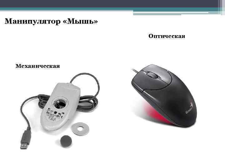 Манипулятор «Мышь» Оптическая Механическая 