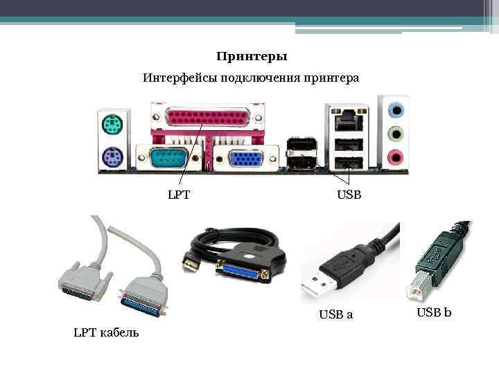 Принтеры Интерфейсы подключения принтера LPT USB a LPT кабель USB b 