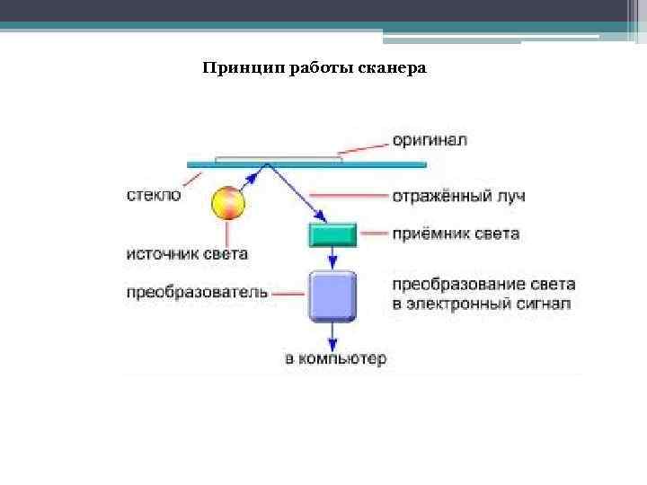 Принцип работы сканера 