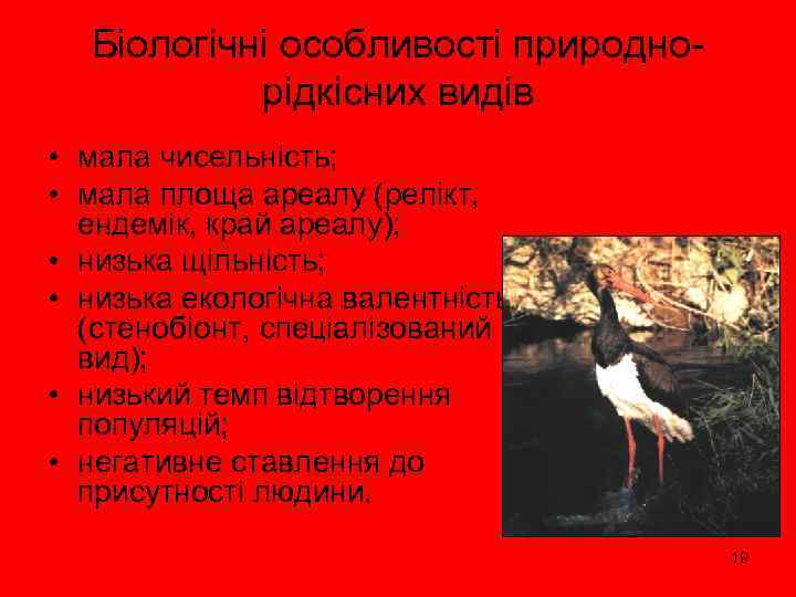 Біологічні особливості природнорідкісних видів • мала чисельність; • мала площа ареалу (релікт, ендемік, край