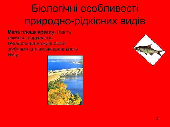 Біологічні особливості природно-рідкісних видів Мала площа ареалу. Навіть локальні порушення середовища можуть стати згубними