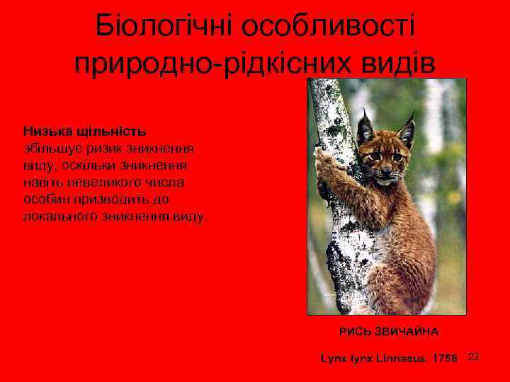 Біологічні особливості природно-рідкісних видів Низька щільність збільшує ризик зникнення виду, оскільки зникнення навіть невеликого