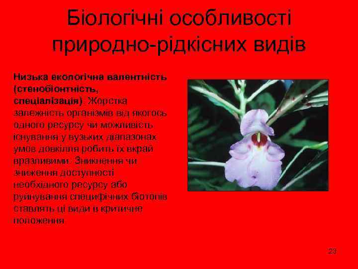 Біологічні особливості природно-рідкісних видів Низька екологічна валентність (стенобіонтність, спеціалізація). Жорстка залежність організмів від якогось