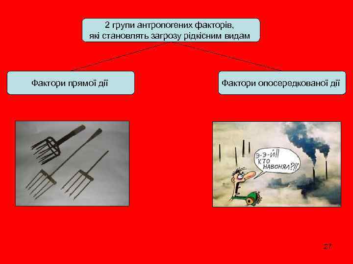 2 групи антропогених факторів, які становлять загрозу рідкісним видам Фактори прямої дії Фактори опосередкованої