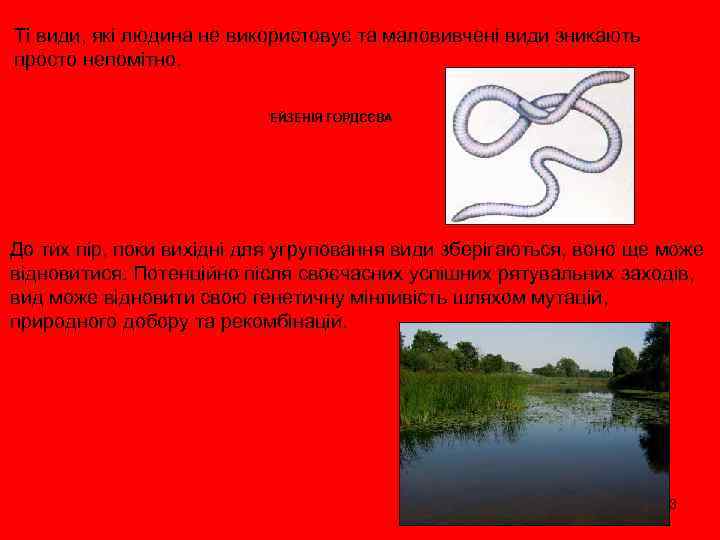 Ті види, які людина не використовує та маловивчені види зникають просто непомітно. ЕЙЗЕНІЯ ГОРДЄЄВА