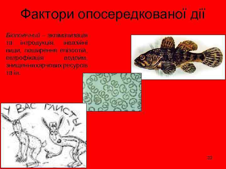 Фактори опосередкованої дії Біологічний – акліматизація та інтродукція, інвазійні види, поширення епізоотій, евтрофікація водойм,