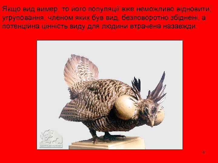 Якщо вид вимер, то його популяції вже неможливо відновити; угруповання, членом яких був вид,