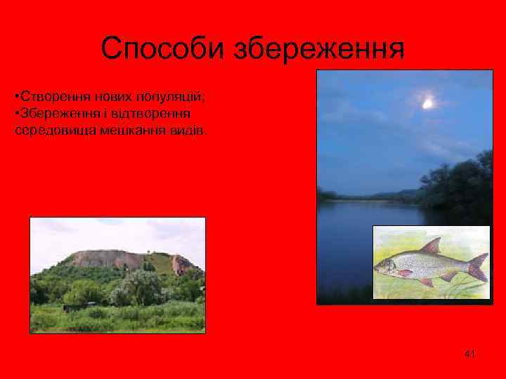 Способи збереження • Створення нових популяцій; • Збереження і відтворення середовища мешкання видів. 41