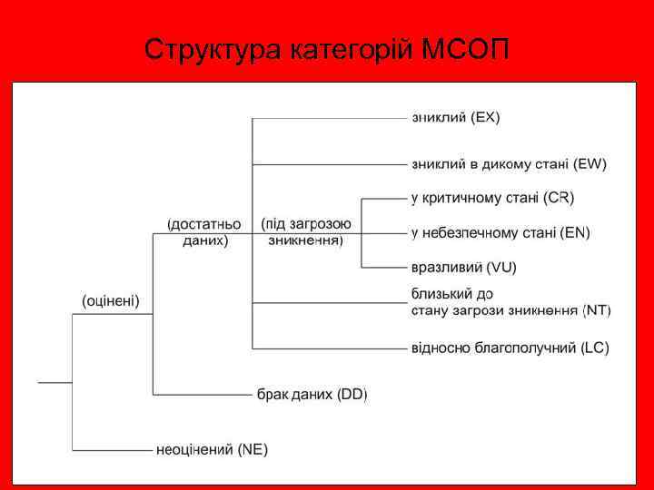 Структура категорій МСОП 45 