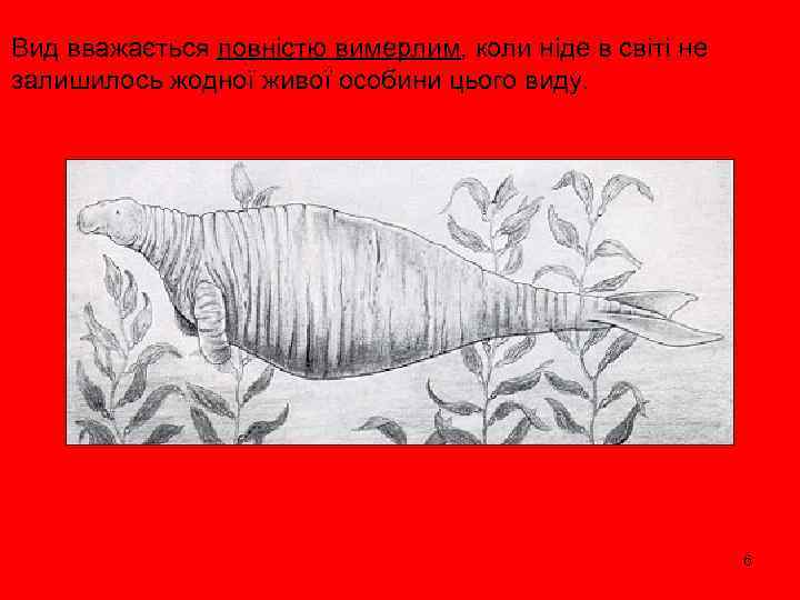 Вид вважається повністю вимерлим, коли ніде в світі не залишилось жодної живої особини цього