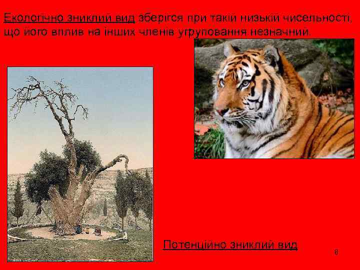 Екологічно зниклий вид зберігся при такій низькій чисельності, що його вплив на інших членів