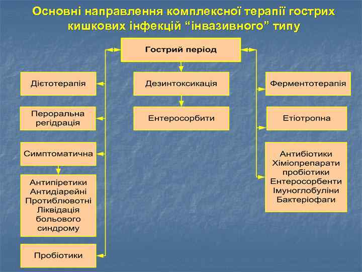 Основні направлення комплексної терапії гострих кишкових інфекцій “інвазивного” типу 