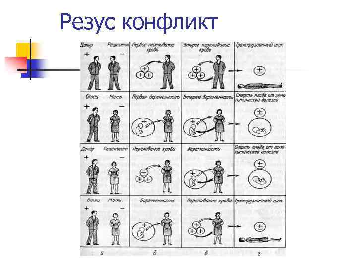 Резус конфликт 