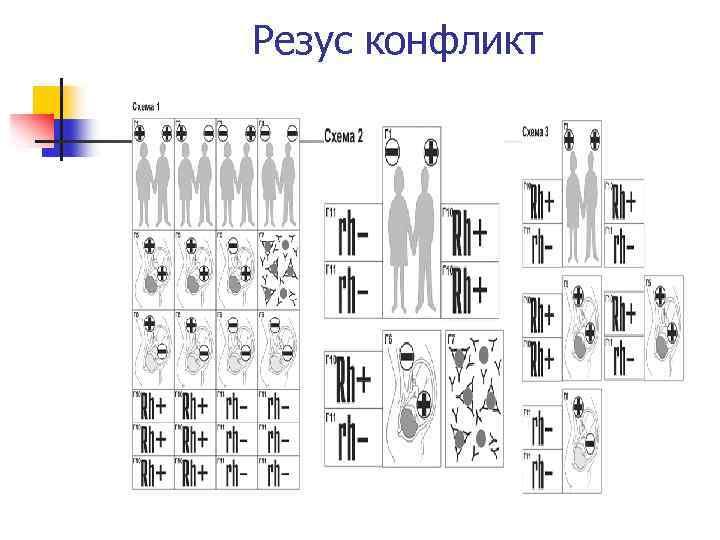 Резус конфликт 