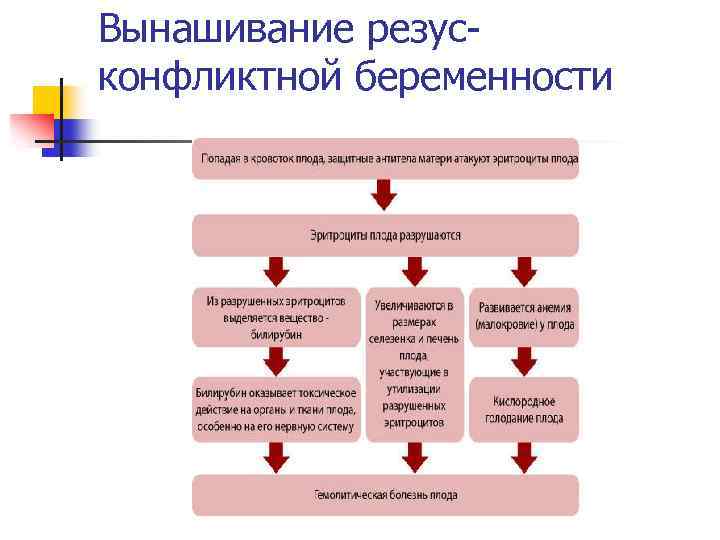 Вынашивание резусконфликтной беременности 
