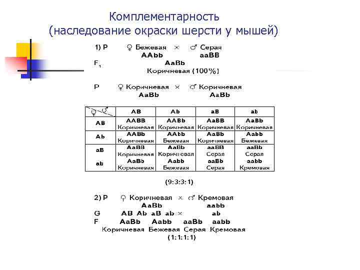 Комплементарность (наследование окраски шерсти у мышей) 