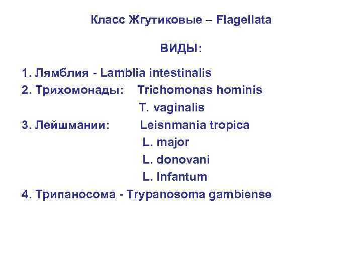 Класс Жгутиковые – Flagellata ВИДЫ: 1. Лямблия - Lamblia intestinalis 2. Трихомонады: Trichomonas hominis