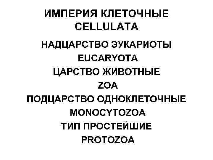 ИМПЕРИЯ КЛЕТОЧНЫЕ CELLULATA НАДЦАРСТВО ЭУКАРИОТЫ EUCARYOTA ЦАРСТВО ЖИВОТНЫЕ ZOA ПОДЦАРСТВО ОДНОКЛЕТОЧНЫЕ MONOCYTOZOA ТИП ПРОСТЕЙШИЕ