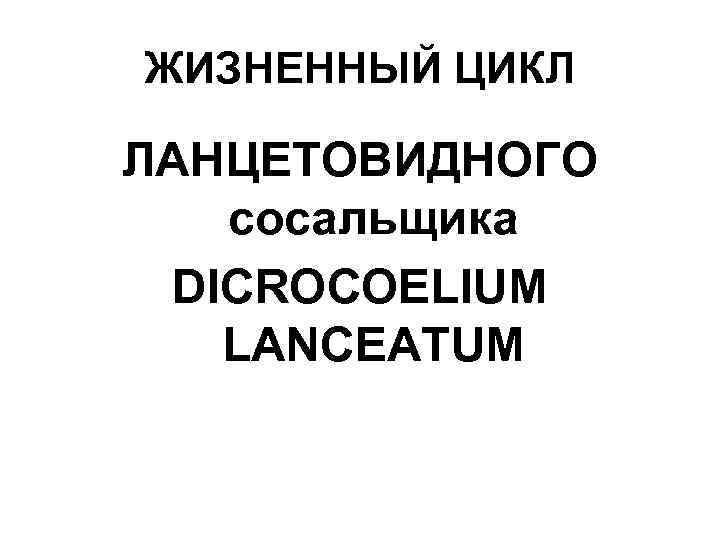 ЖИЗНЕННЫЙ ЦИКЛ ЛАНЦЕТОВИДНОГО сосальщика DICROCOELIUM LANCEATUM 