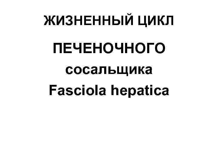 ЖИЗНЕННЫЙ ЦИКЛ ПЕЧЕНОЧНОГО сосальщика Fasciola hepatica 