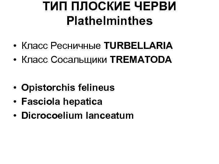 ТИП ПЛОСКИЕ ЧЕРВИ Plathelminthes • Класс Ресничные TURBELLARIA • Класс Сосальщики TREMATODA • Opistorchis