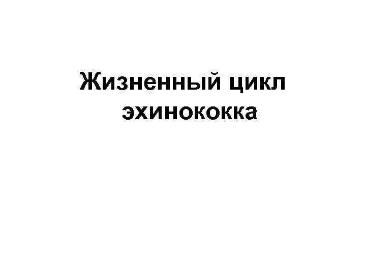 Жизненный цикл эхинококка 