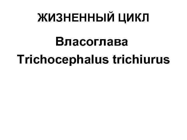 ЖИЗНЕННЫЙ ЦИКЛ Власоглава Trichocephalus trichiurus 