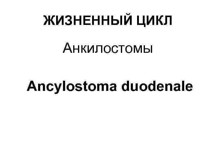 ЖИЗНЕННЫЙ ЦИКЛ Анкилостомы Ancylostoma duodenale 