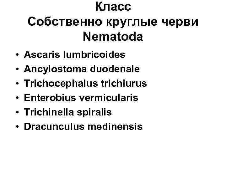 Класс Собственно круглые черви Nematoda • • • Ascaris lumbricoides Ancylostoma duodenale Trichocephalus trichiurus