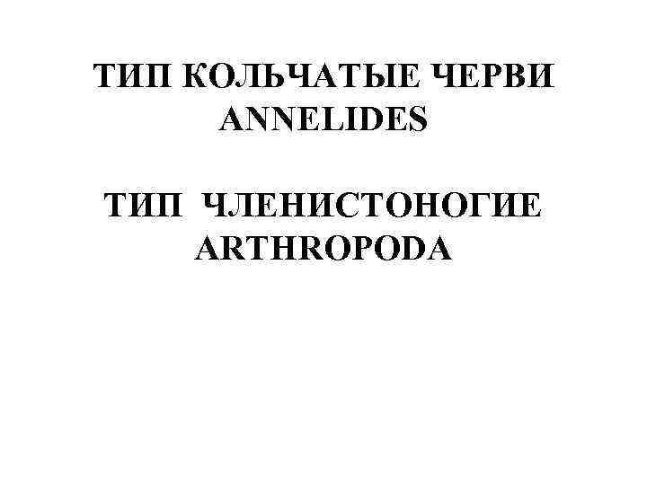 ТИП КОЛЬЧАТЫЕ ЧЕРВИ ANNELIDES ТИП ЧЛЕНИСТОНОГИЕ ARTHROPODA 