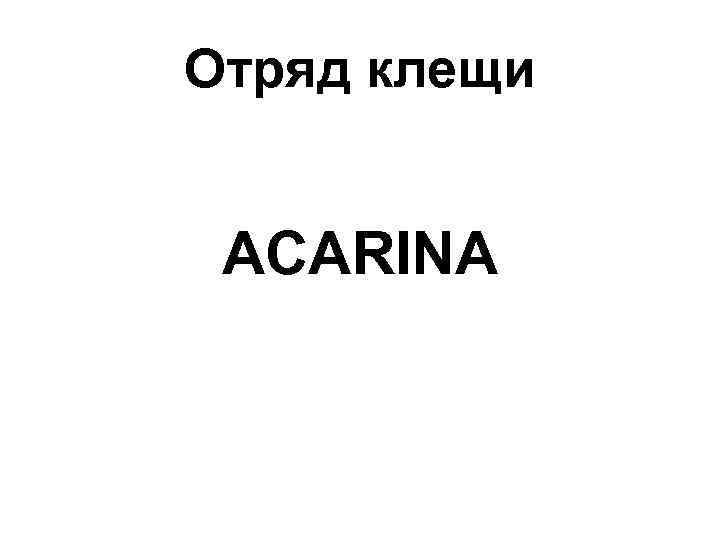 Отряд клещи ACARINA 