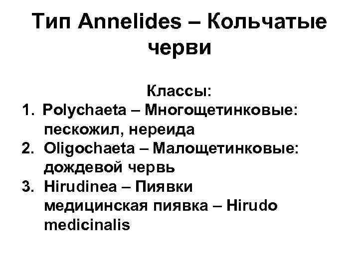 Тип Annelides – Кольчатые черви Классы: 1. Polychaeta – Многощетинковые: пескожил, нереида 2. Oligochaeta