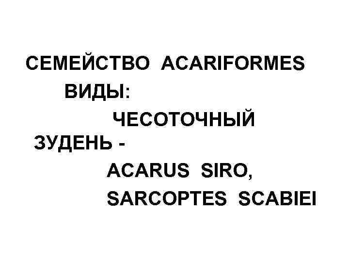 СЕМЕЙСТВО ACARIFORMES ВИДЫ: ЧЕСОТОЧНЫЙ ЗУДЕНЬ ACARUS SIRO, SARCOPTES SCABIEI 