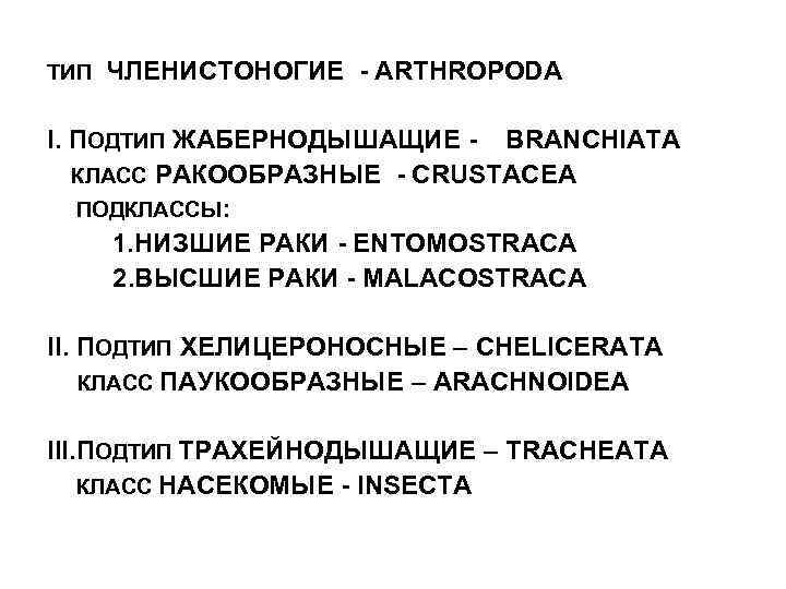 ТИП ЧЛЕНИСТОНОГИЕ - ARTHROPODA I. ПОДТИП ЖАБЕРНОДЫШАЩИЕ - BRANCHIATA КЛАСС РАКООБРАЗНЫЕ - CRUSTACEA ПОДКЛАССЫ: