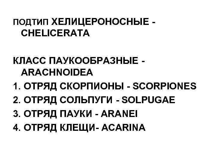 ПОДТИП ХЕЛИЦЕРОНОСНЫЕ - CHELICERATA КЛАСС ПАУКООБРАЗНЫЕ ARACHNOIDEA 1. ОТРЯД СКОРПИОНЫ - SCORPIONES 2. ОТРЯД