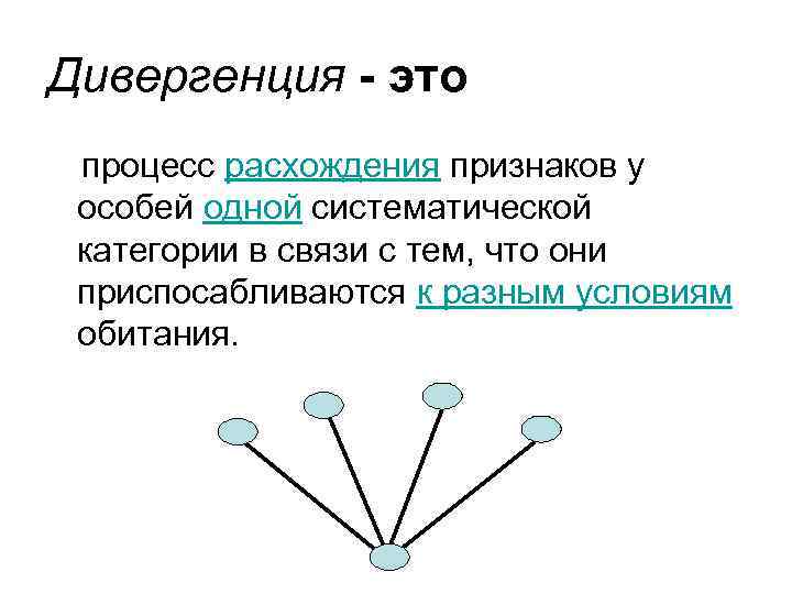 Дивергенция - это процесс расхождения признаков у особей одной систематической категории в связи с