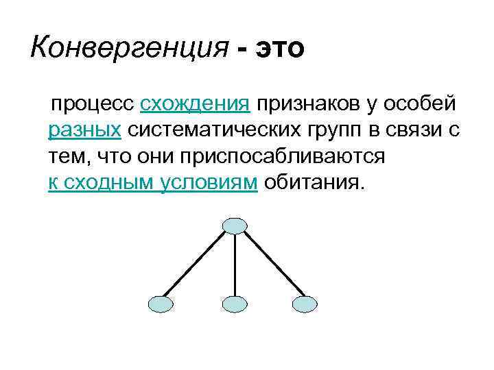 Конвергенция - это процесс схождения признаков у особей разных систематических групп в связи с