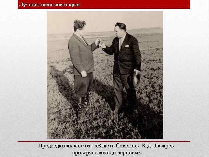 Лучшие люди моего края Председатель колхоза «Власть Советов» К. Д. Лазарев проверяет всходы зерновых