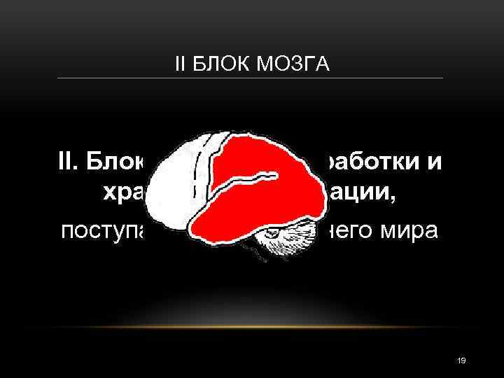 Энергетический блок мозга блок регуляции тонуса и бодрствования презентация