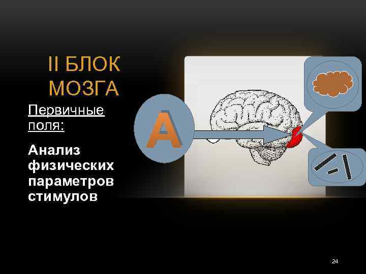 Энергетический блок мозга блок регуляции тонуса и бодрствования презентация