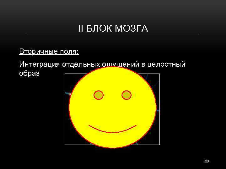 II БЛОК МОЗГА Вторичные поля: Интеграция отдельных ощущений в целостный образ . ). 26