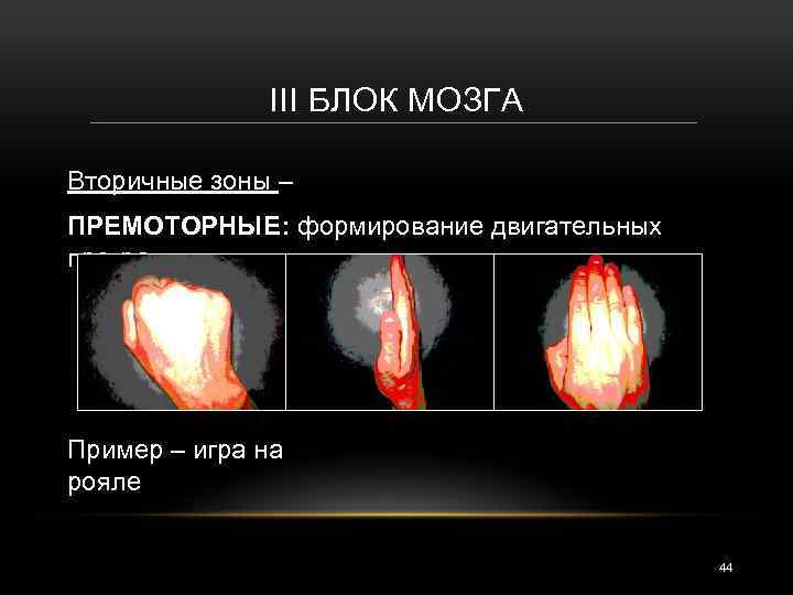 III БЛОК МОЗГА Вторичные зоны – ПРЕМОТОРНЫЕ: формирование двигательных программ Пример – игра на