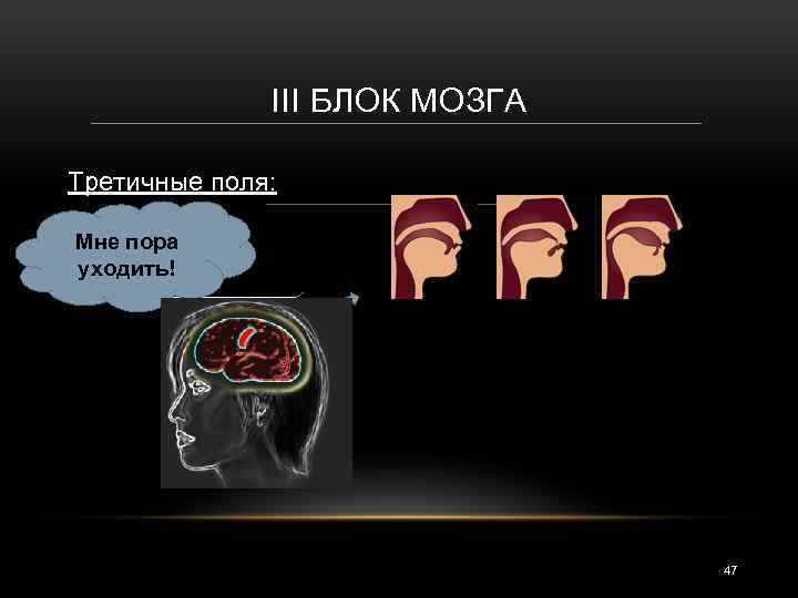 III БЛОК МОЗГА Третичные поля: Мне пора уходить! Отпустите , пожалуй ста 47 