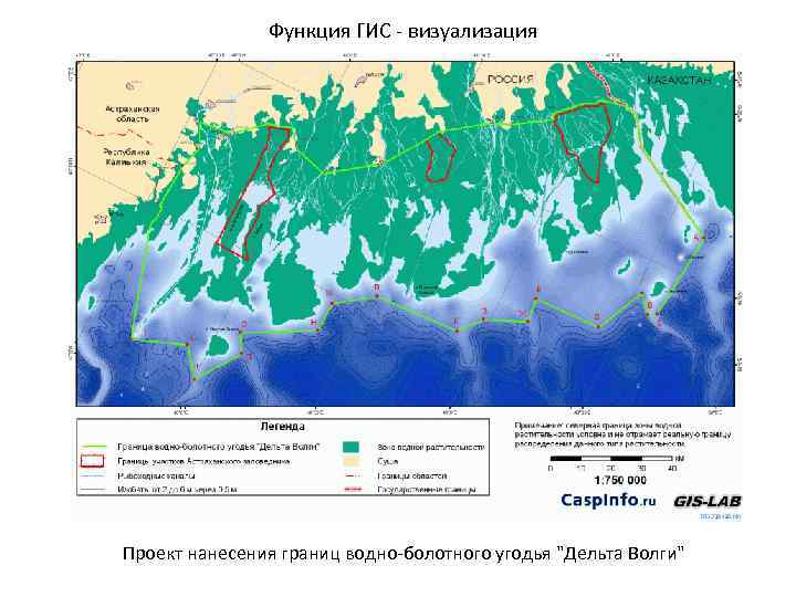 Функция ГИС - визуализация Проект нанесения границ водно-болотного угодья 