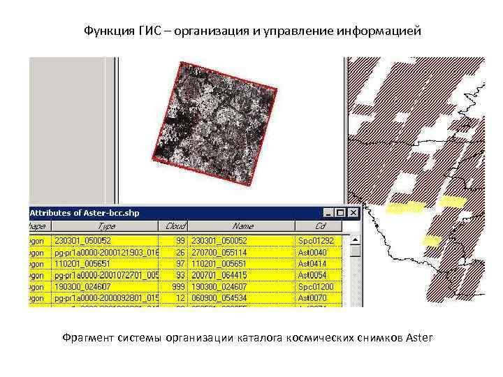 Функция ГИС – организация и управление информацией Фрагмент системы организации каталога космических снимков Aster